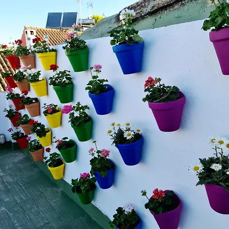 Funky By Arc House Pensjonat Kordoba