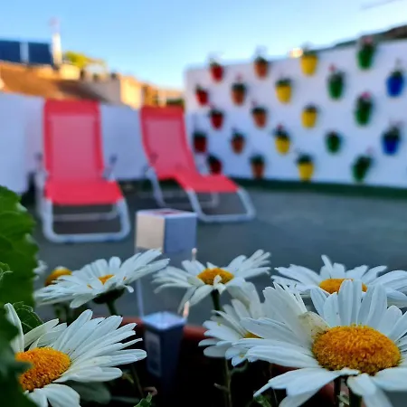 Funky By Arc House Gæstehus 2*