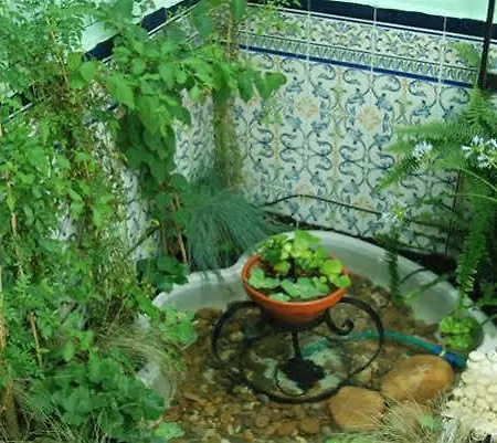 Hostal Funky By Arc House