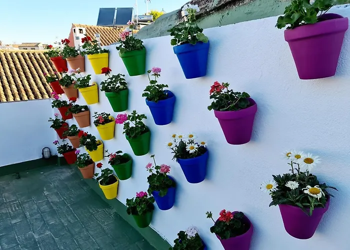 Funky By Arc House Pensión Córdoba