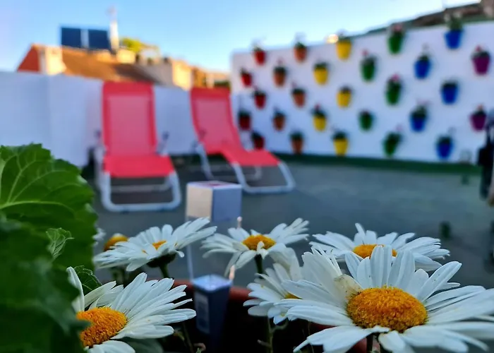 Funky By Arc House Gæstehus 2*