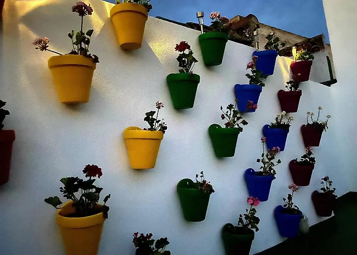 Guest house Hostal Funky By Arc House 2*