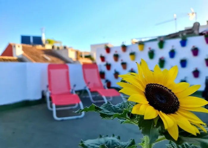 ホスタル ファンキー バイ アーク ハウス コルドバ