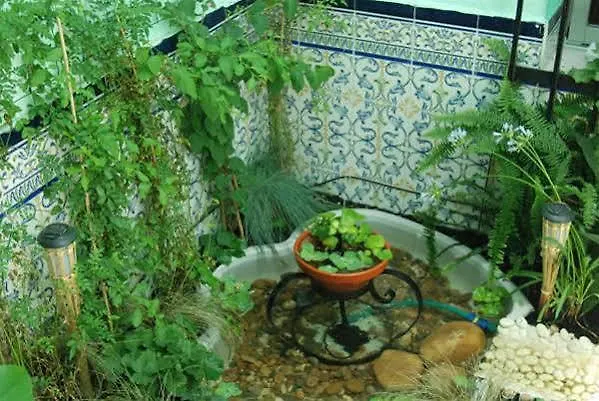 ホスタル ファンキー バイ アーク ハウス